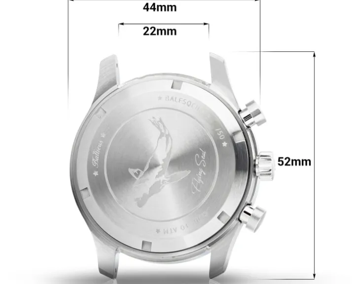 Balticus Flying Seal