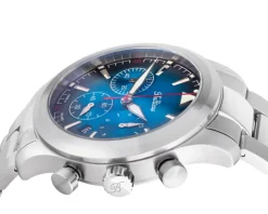 Balticus Flying Seal