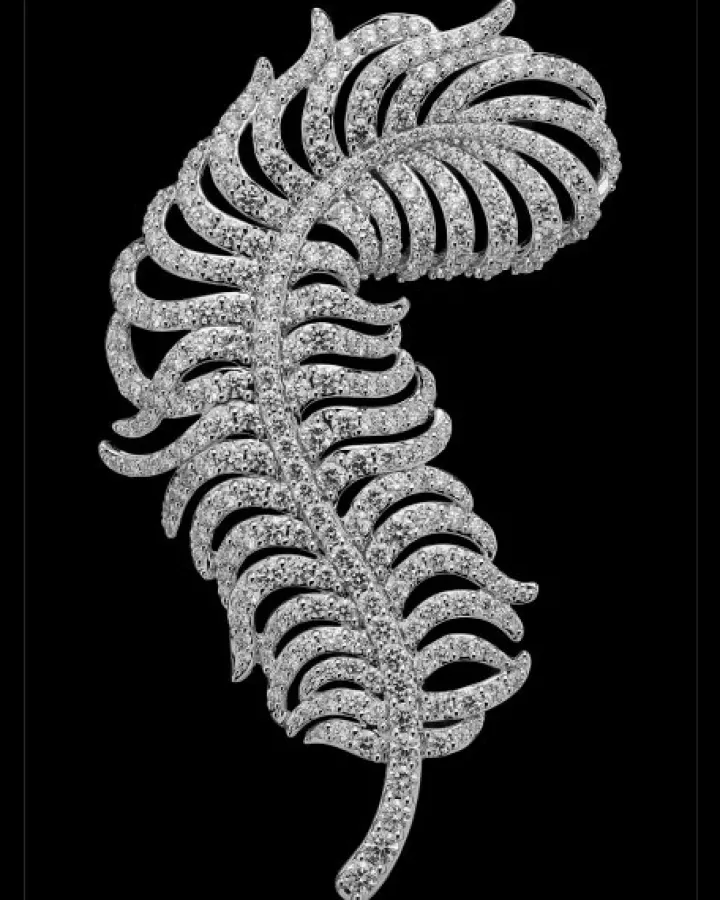 Broszka z białego złota z brylantami - piórko - 5,15 ct - próba 750