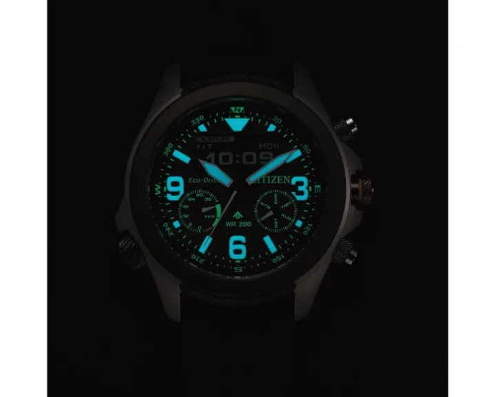 Citizen Promaster Land