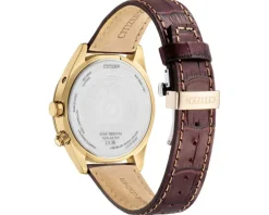 Citizen Radio Controlled