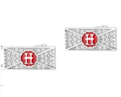 Kolczyki srebrne z cyrkoniami i emalią - Harry Potter, list z Hogwartu, Warner Bros. Discovery