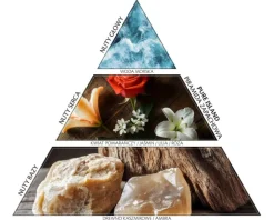 Patyczki zapachowe - dyfuzor Pure Island (430 ml)