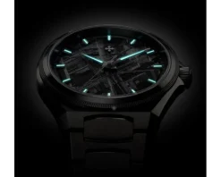 Venezianico Meteorite