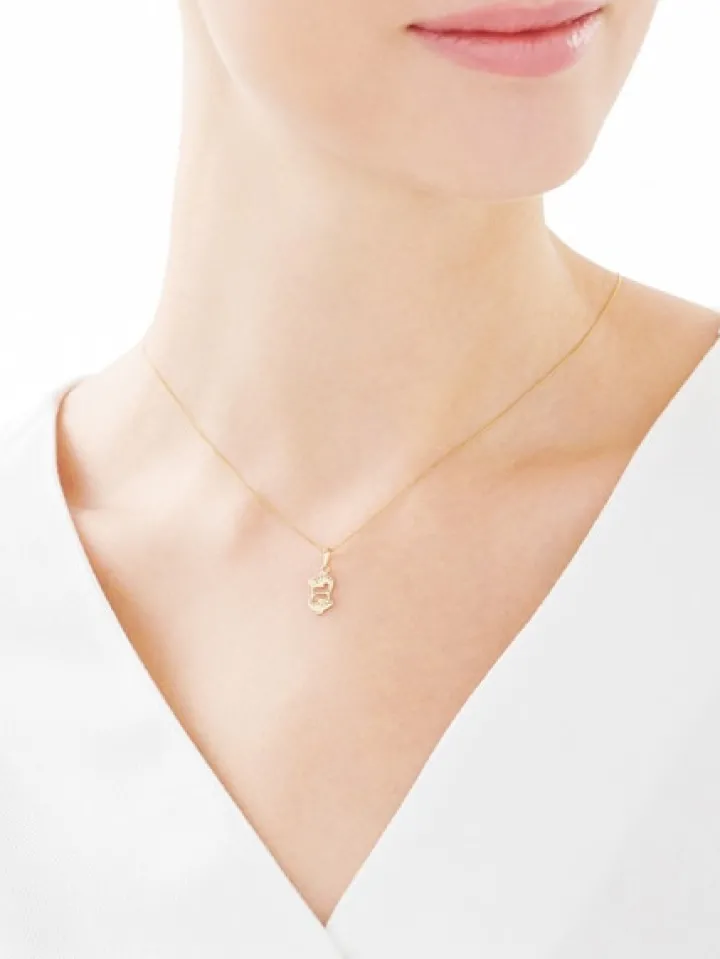 Złota zawieszka - Ryby