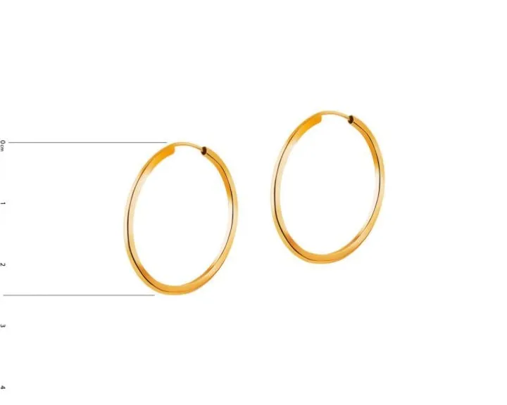 Złote kolczyki szarnir - koła, 25 mm