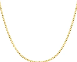 Złoty łańcuszek - ankier