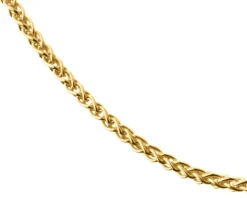 Złoty łańcuszek - lisi ogon