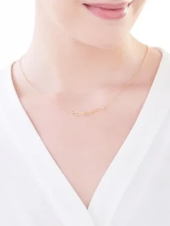 Złoty naszyjnik, ankier