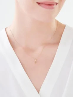 Złoty naszyjnik, ankier